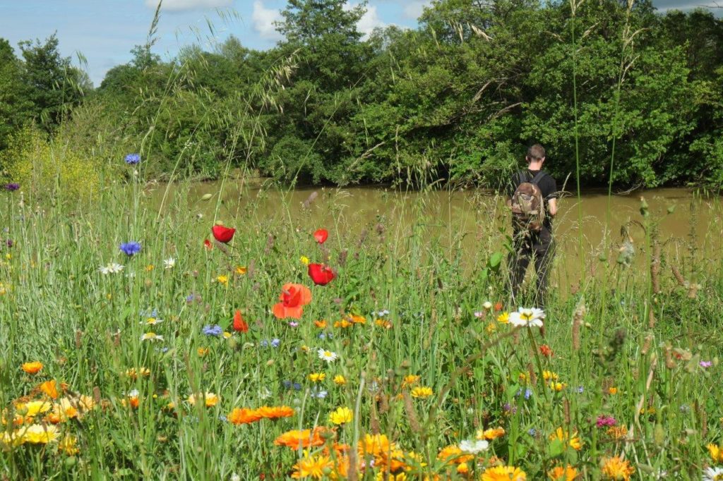 ville et village fleuris concours