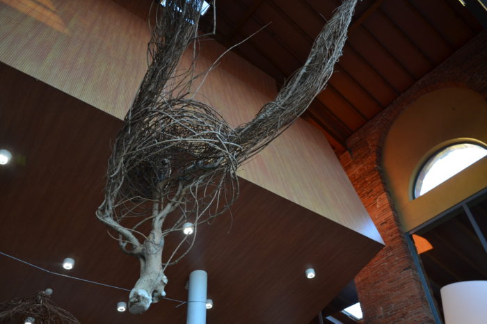 Vernissage guy massonneau 21 mars 20232 Vernissage guy massonneau 21 mars 20232