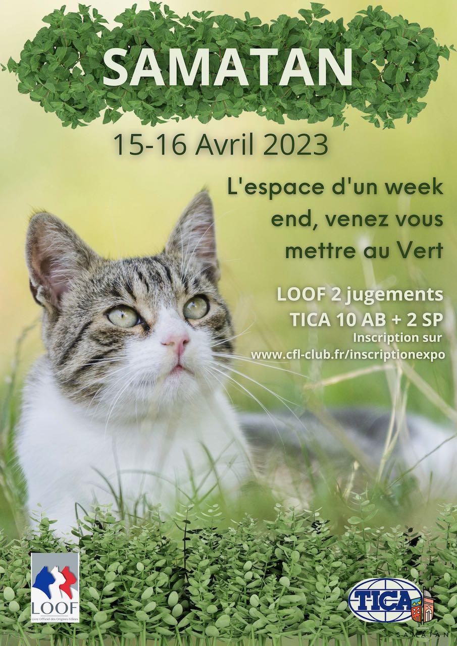 expo félins 15 et 16 avril