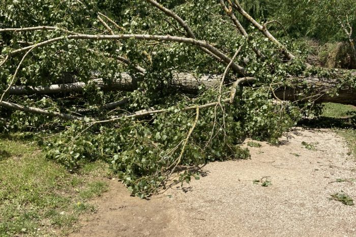 Base de loisirs Base de loisirs