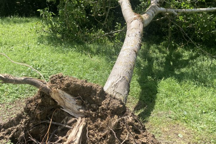 Base de loisirs Base de loisirs