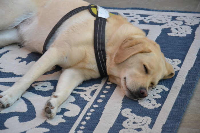 Mario intergénérationnel7 Mario intergénérationnel7