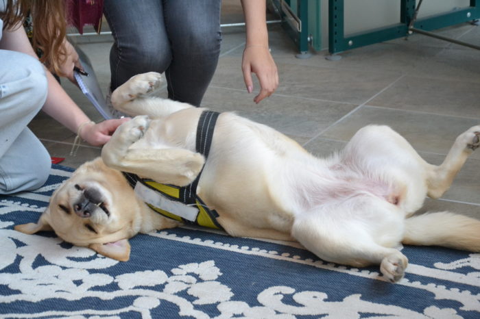 Mario intergénérationnel8 Mario intergénérationnel8