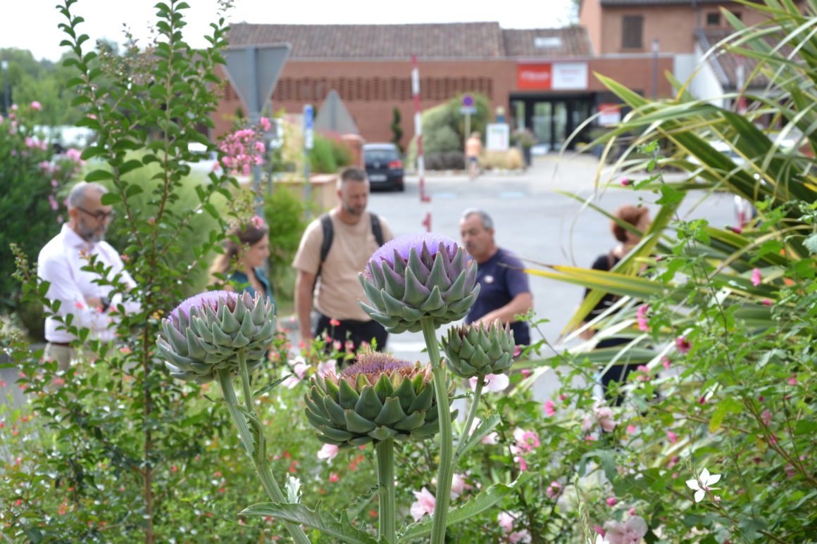 Jury villes et villages fleuris