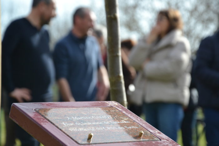 Un arbre à la mémoire de Martine Gamot