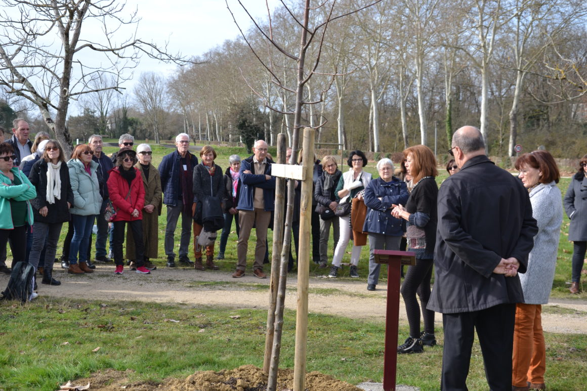 Un arbre à la mémoire de Martine Gamot