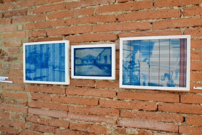 Lilie Pinot1 Lilie Pinot1