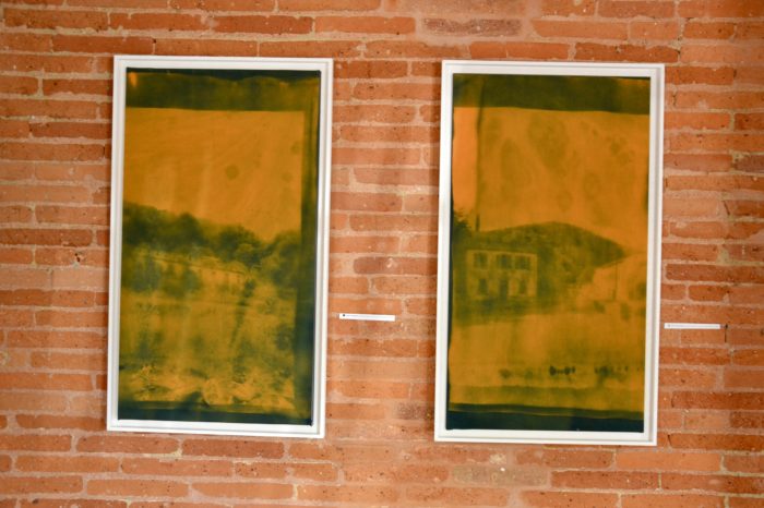 Lilie Pinot2 Lilie Pinot2