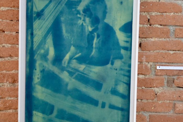 Lilie Pinot3 Lilie Pinot3