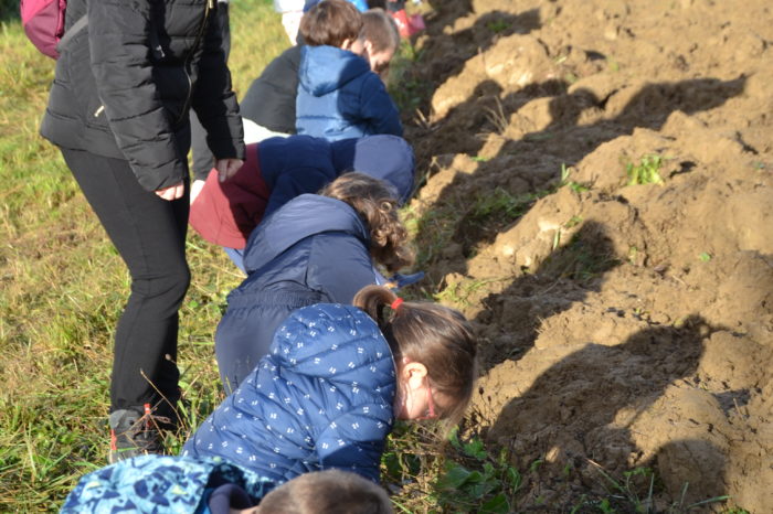 DSC_1468 - Prêt pour les travaux DSC_1468 - Prêt pour les travaux