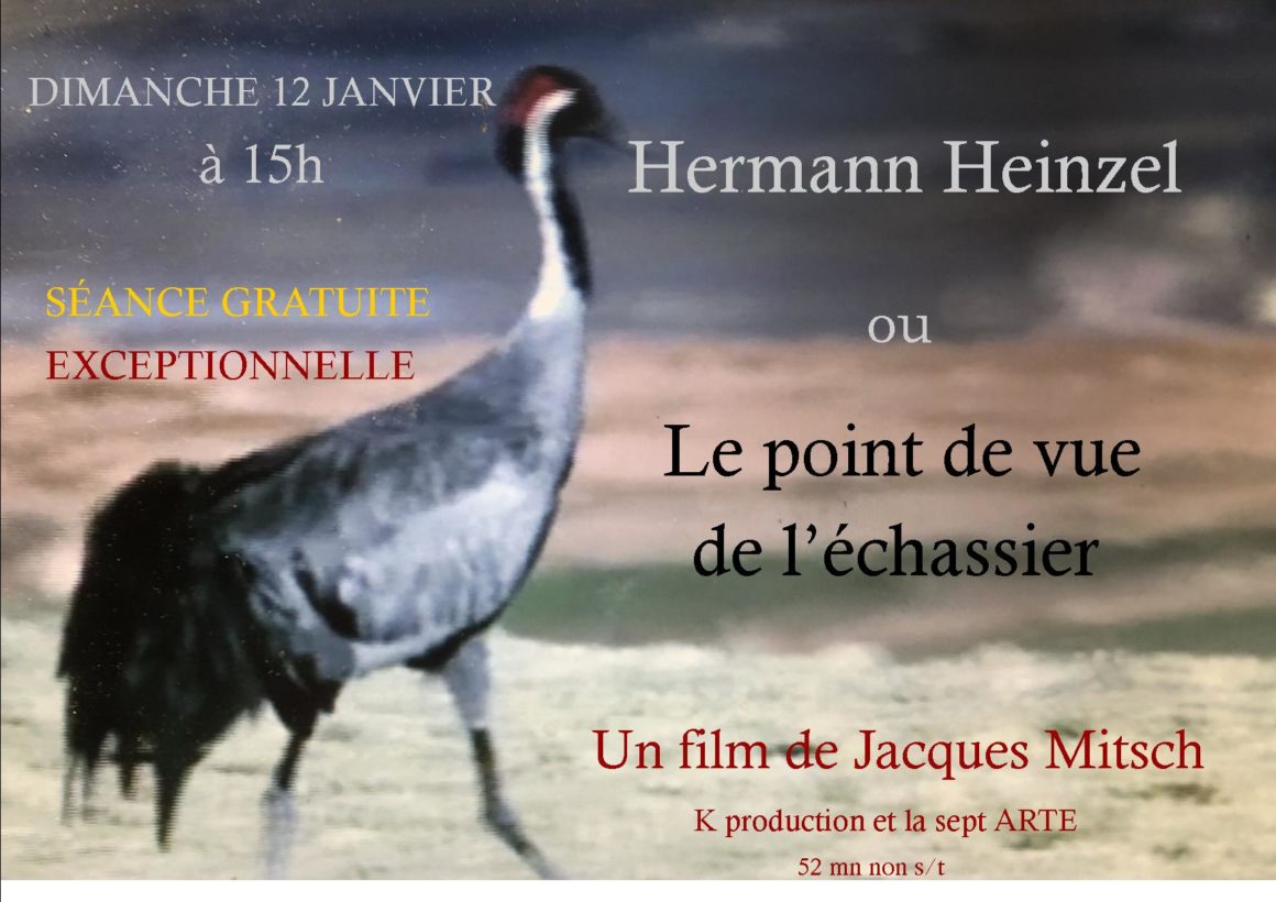 Affiche docu hermann Heinzel