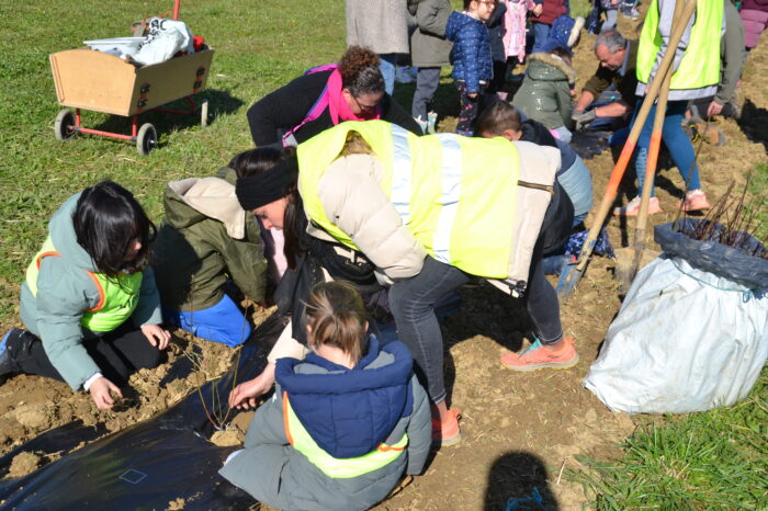 DSC_0557 - Plantation d'arbres Enclos de l'hôpital - Mars 2025 DSC_0557 - Plantation d'arbres Enclos de l'hôpital - Mars 2025