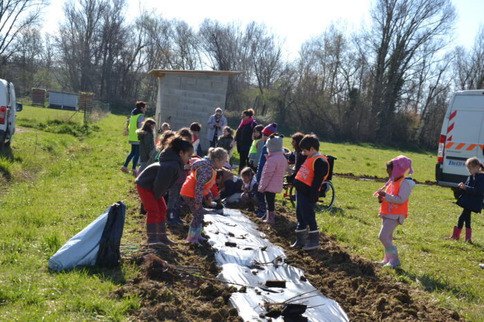 DSC_0568 - Plantation d'arbres Enclos de l'hôpital - Mars 2025