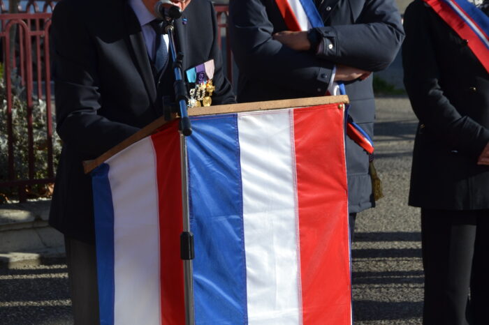 DSC_0586 - Norbert Falzon DSC_0586 - Norbert Falzon