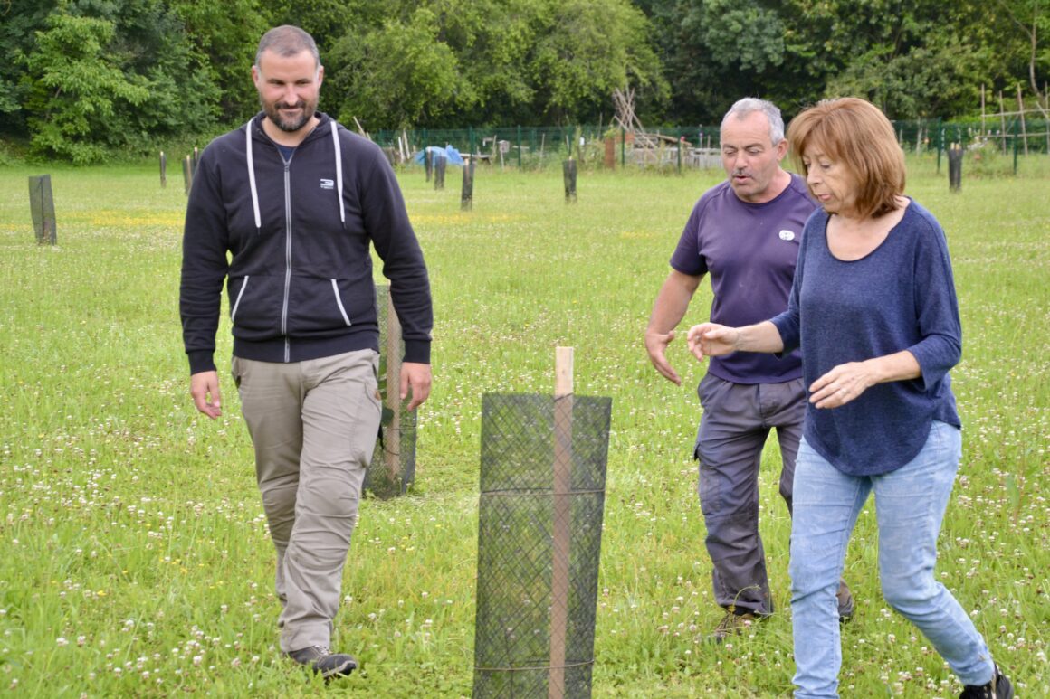 Enclos de l'hôpital