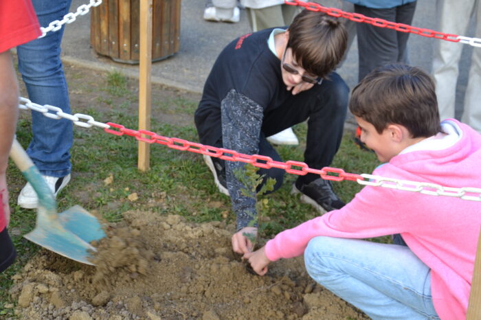 DSC_0619 - Plantation du chêne de la laïcité DSC_0619 - Plantation du chêne de la laïcité