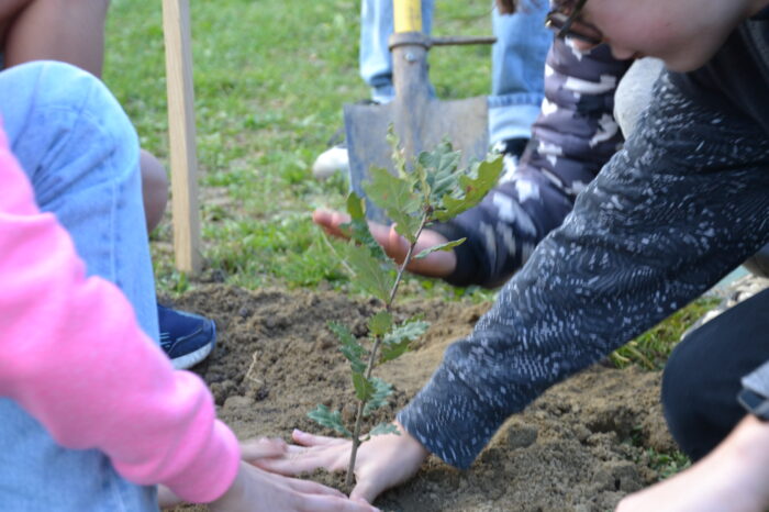 DSC_0625 - Plantation du chêne de la laïcité