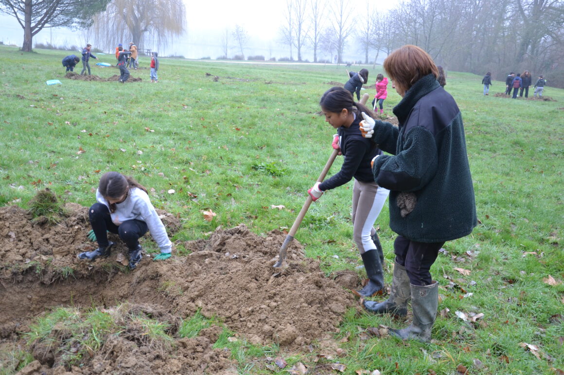 Plantation base de loisirs - janvier 2020