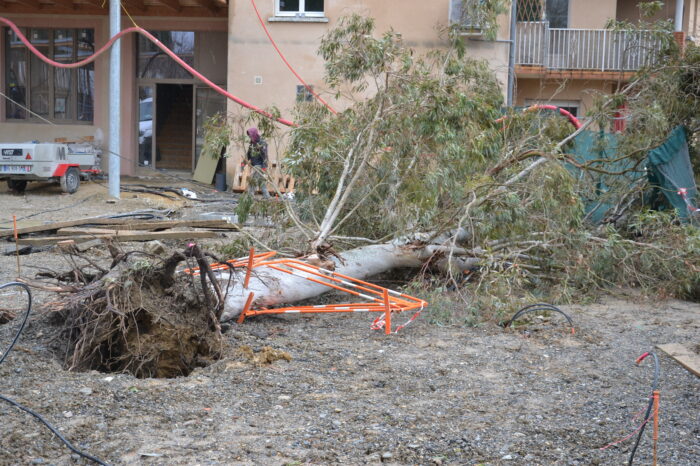 Alerte météo - 12 février 2026 - Arbre tombé dans la cour du chantier de l'école Yves Chaze.
